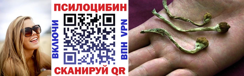 где продают   Ленинск  mega   Псилоцибиновые грибы мухоморы 